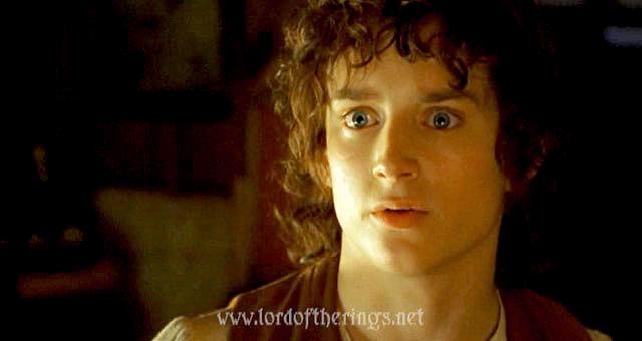 frodo25.jpg