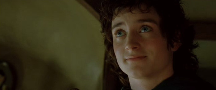 frodo48.jpg